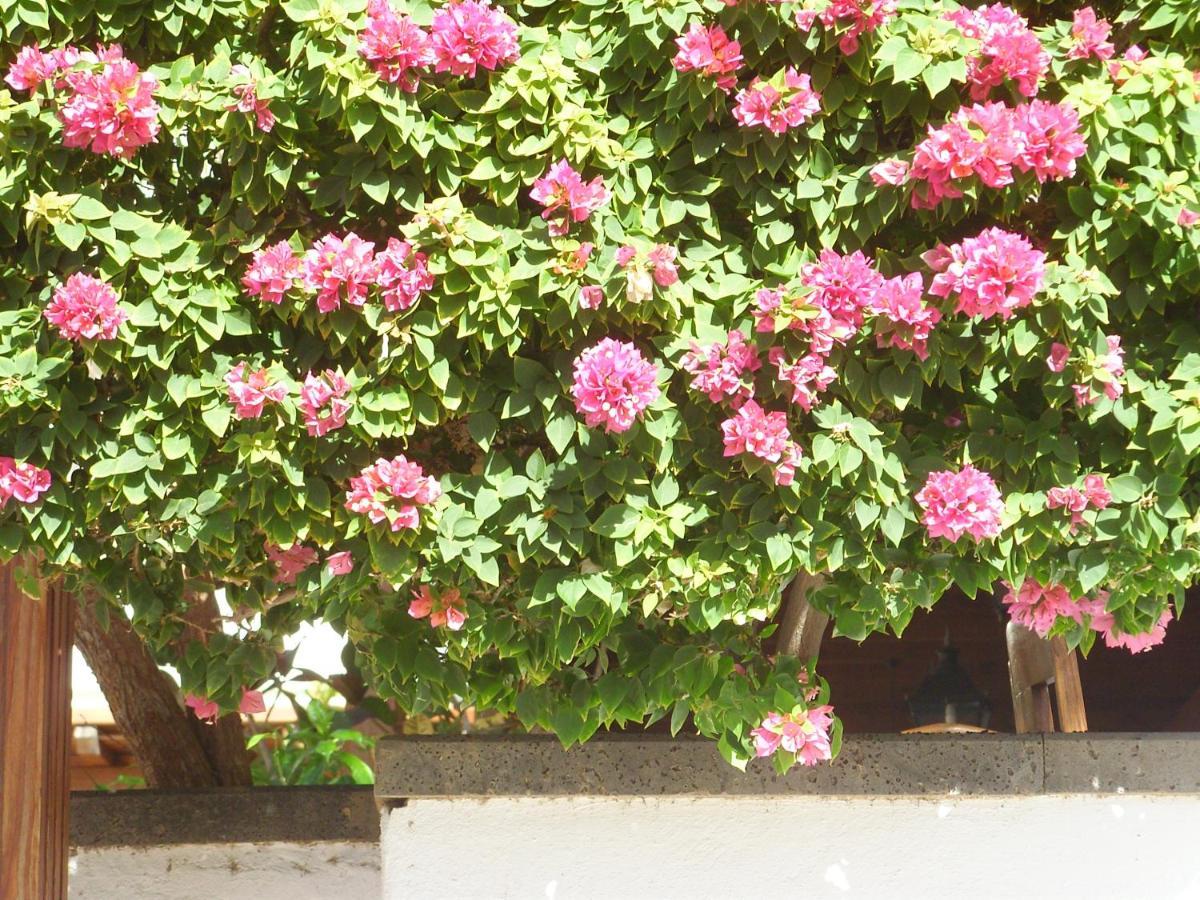 Appartement Casa La Tahonilla à Tías Extérieur photo